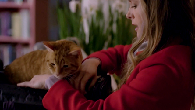 The Story of Us - Jamie Maggie Lawson putting ginger tabby cat Eliot in carrier bag