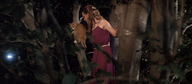 Strange Behavior - Dead Kids - ginger and white tabby cat in tree with Lucy Elizabeth Cheshire