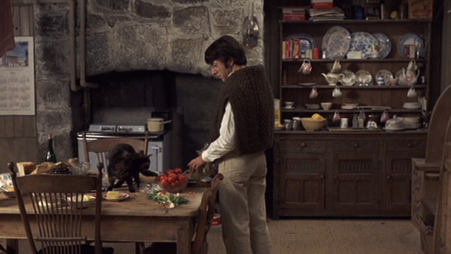 Straw Dogs - David Dustin Hoffman in kitchen with tortoiseshell cat Kitty on table