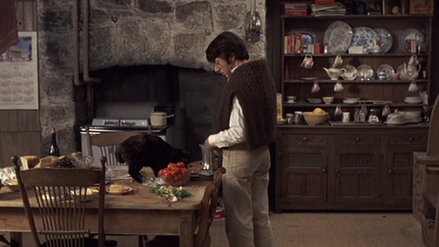 Straw Dogs - David Dustin Hoffman in kitchen with tortoiseshell cat Kitty on table