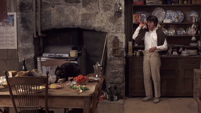Straw Dogs - David Dustin Hoffman in kitchen tossing tomato at tortoiseshell cat Kitty on table