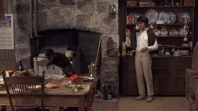 Straw Dogs - David Dustin Hoffman in kitchen hitting tortoiseshell cat Kitty on table with tomato