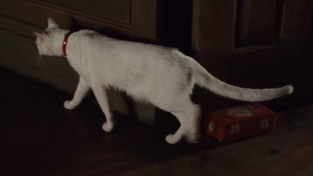 Straw Dogs 2011 - white cat Flutie walking towards wardrobe