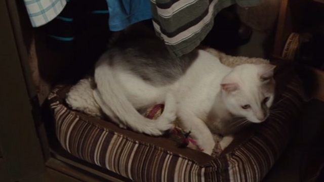 Straw Dogs 2011 - white cat Flutie in basket in wardrobe