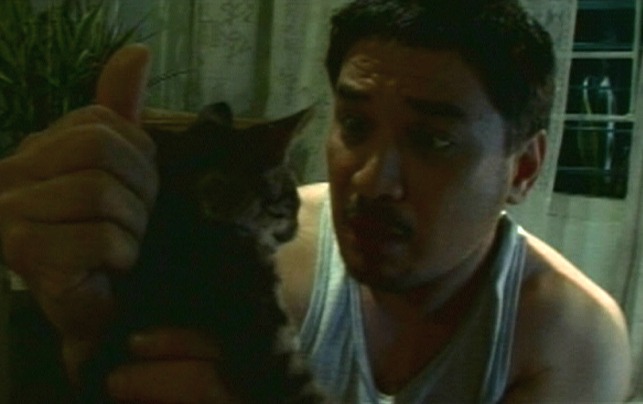 Mga Pusang Gala - holding up kitten