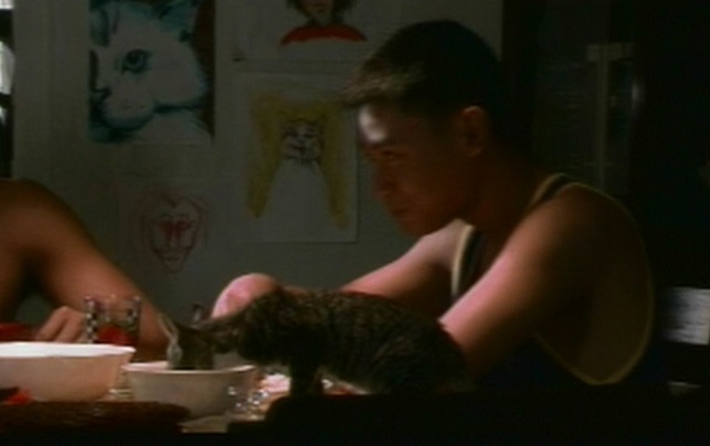 Mga Pusang Gala - kitten eating on table