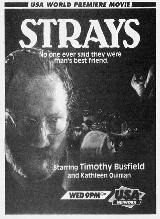 Strays - newspaper ad for TV movie Strays starring Timothy Busfield on USA Network