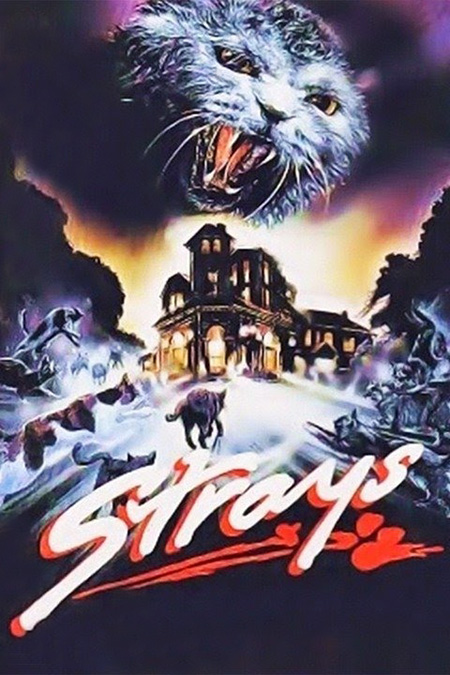 Strays - poster artwork for TV movie Strays