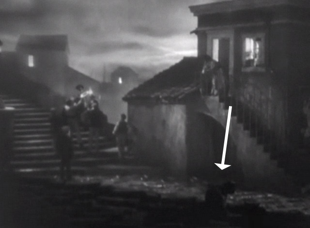 Street Angel - black cat on tiled roof later