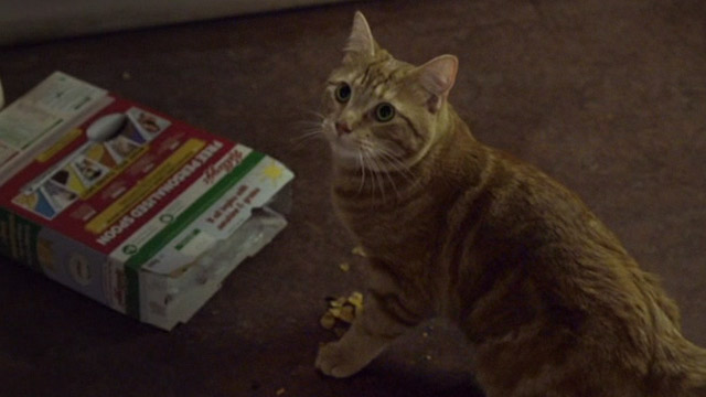 A Street Cat Named Bob - orange tabby Bob by Corn Flakes box