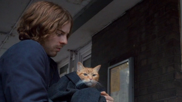 A Street Cat Named Bob - James Bowen Luke Treadway helping orange tabby Bob close up
