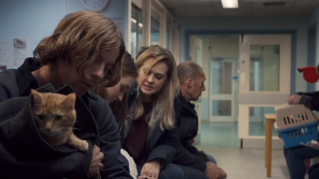 A Street Cat Named Bob - James Bowen Luke Treadway with orange tabby Bob waiting in clinic