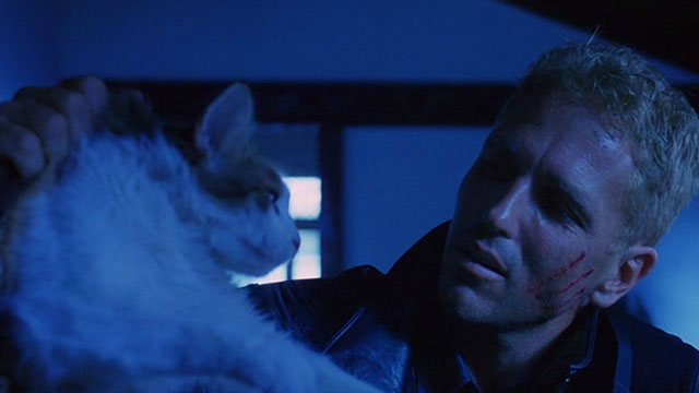 Streets - Lumley Eb Lottimer holding up longhair calico cat by scruff