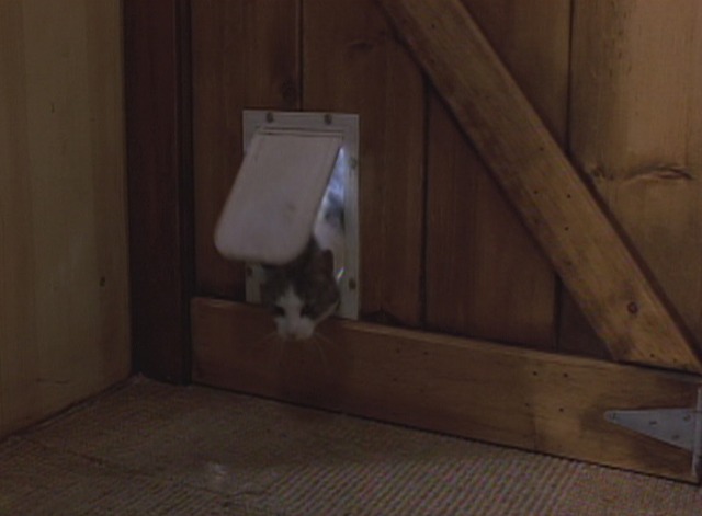 Striking Distance - Bob the cat enters houseboat through cat door
