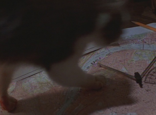 Striking Distance - Bob the cat runs across map leaving bloody paw prints