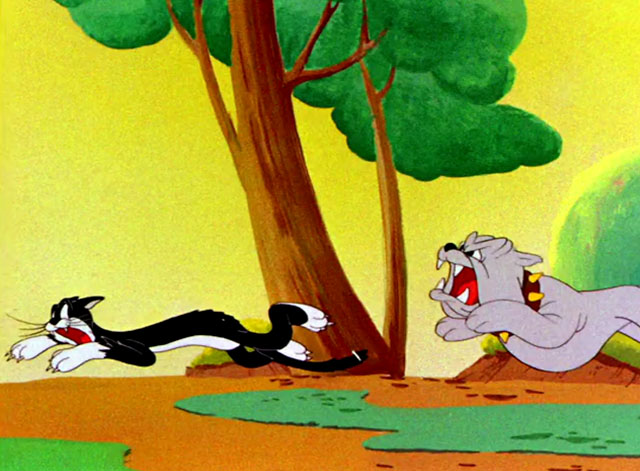 The Stupid Cupid - cartoon black and white cat being chased by bulldog