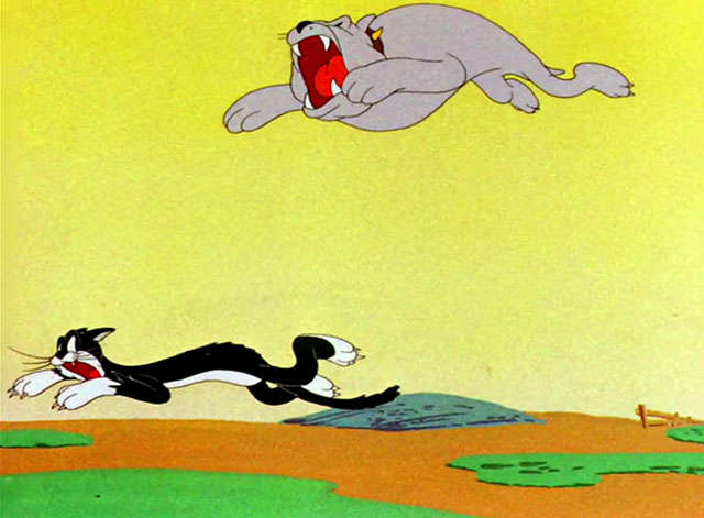 The Stupid Cupid - cartoon black and white cat being chased by bulldog