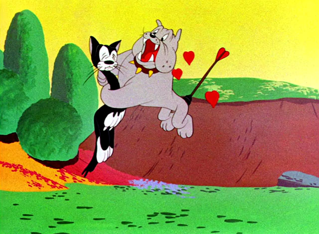 The Stupid Cupid - cartoon black and white cat held by lovestruck bulldog