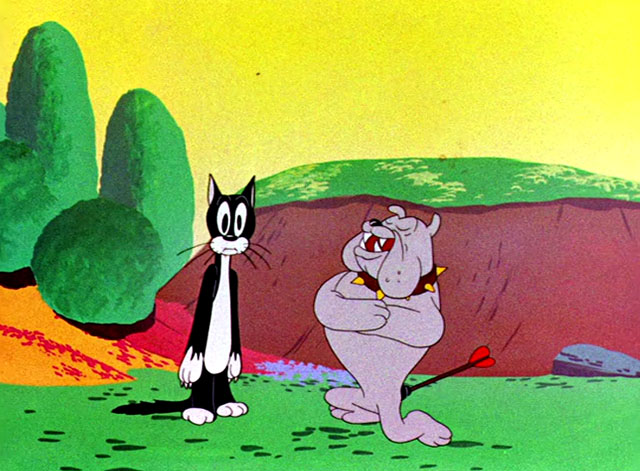 The Stupid Cupid - cartoon black and white cat shocked by bulldog proposing