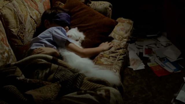 St. Vincent - Oliver Jaeden Lieberher sleeping with white Persian cat Felix