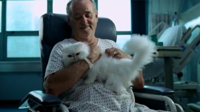 St. Vincent - Vincent Bill Murray holding white Persian cat Felix in hospital