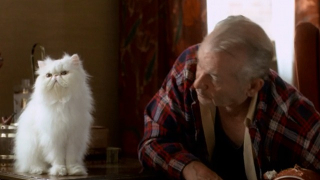 St. Vincent - Vincent Bill Murray with white Persian cat Felix with bowl