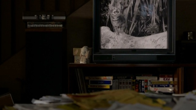 St. Vincent - tabby kitten from Africa Screams on television screen