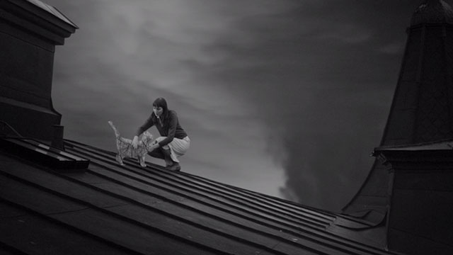 Sudd - Out of Erasers - woman Frida Jansdotter picking up infected cartoon animated cat on roof