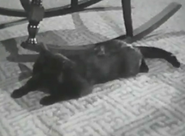 Sue My Lawyer - black cat on floor beside rocking chair