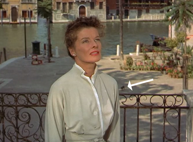 Summertime - Jane Hudson Katharine Hepburn outside Venice hotel with tabby cat in background