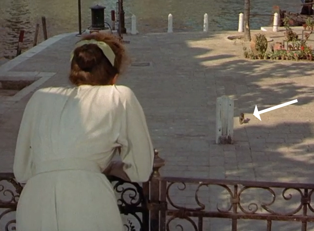 Summertime - Jane Hudson Katharine Hepburn looking at tabby cat in background