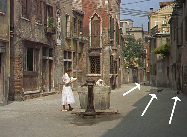 Summertime - Jane Hudson Katharine Hepburn on streets with cats in background