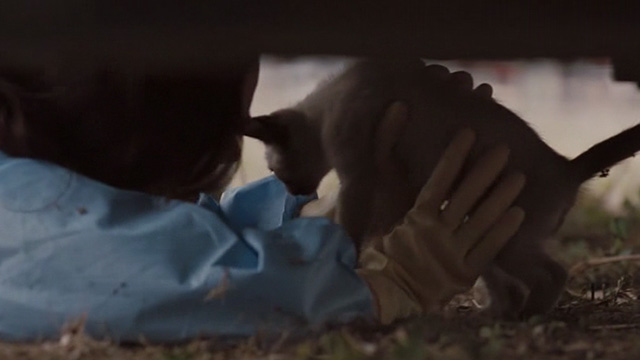 Sunshine Cleaning - Norah Emily Blunt holding Siamese kitten underneath van