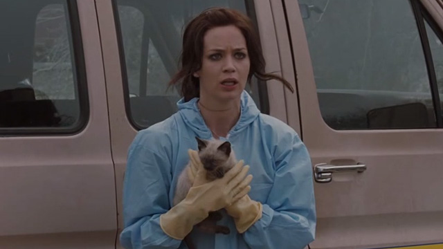 Sunshine Cleaning - Norah Emily Blunt looking shocked while holding Siamese kitten