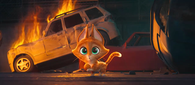 DC League of Super-Pets - cartoon Somali kitten Whiskers looking surprised