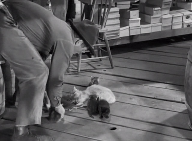 Swamp Water - Tim Ward Bond grabbing for mama cat and kittens on floor of general store