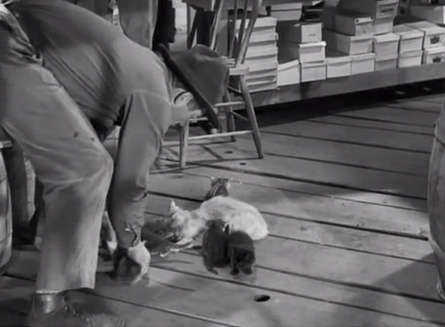 Swamp Water - Tim Ward Bond grabbing for mama cat and kittens on floor of general store