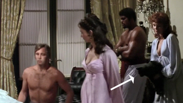 Swashbuckler - long haired black cat being set down by woman in background as Major Folly Beau Bridges sits down