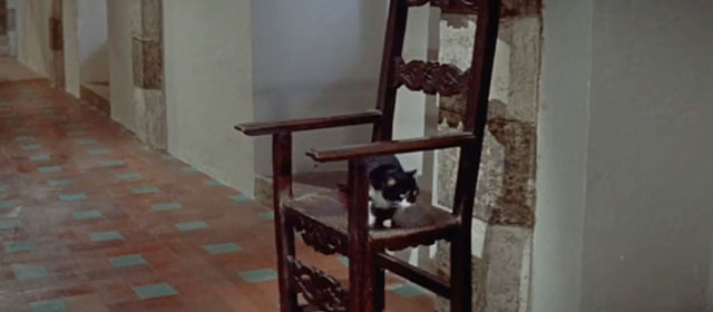 Swordsman of Siena - tuxedo cat sitting on chair in corridor