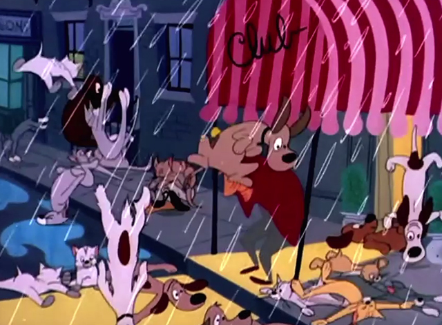 Symphony in Slang - hipster outside club where it's literally raining cats and dogs