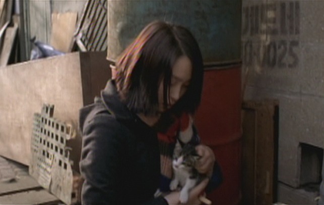 Take Care of My Cat - Titi kitten with Ji-Young