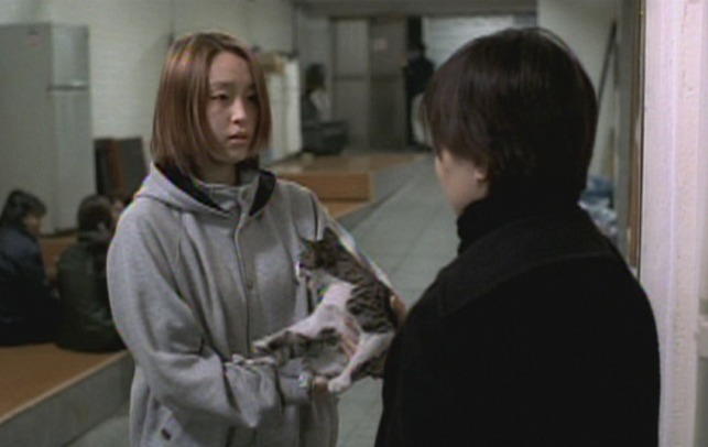 Take Care of My Cat - Ji-Young gives Titi kitten to Tae-hie