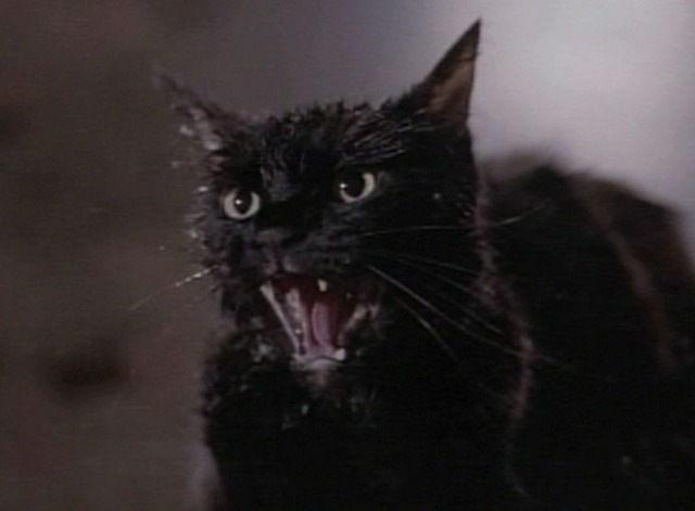 Tales from the Darkside - Cat scream