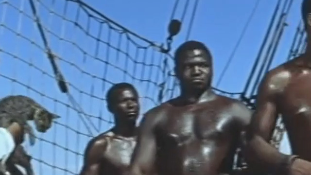 Tamango - tabby cat by slaves on ship