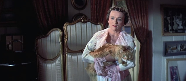 Tammy and the Bachelor - Aunt Renie Mildred Natwick carrying long haired ginger tabby cat Picasso