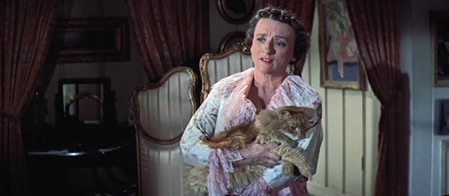 Tammy and the Bachelor - Aunt Renie Mildred Natwick holding long haired ginger tabby cat Picasso