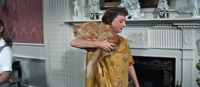 Tammy and the Bachelor - Aunt Renie Mildred Natwick carrying long haired ginger tabby cat Picasso on shoulder