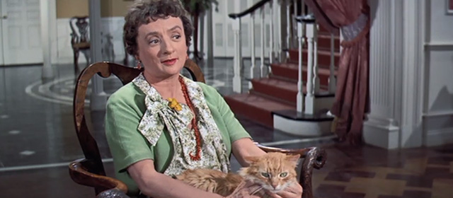 Tammy and the Bachelor - Aunt Renie Mildred Natwick with long haired ginger tabby cat Picasso on lap