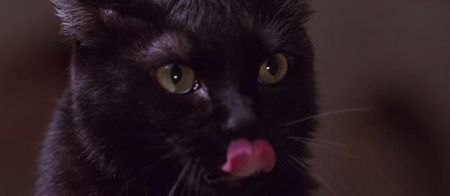 Team America: World Police - black cat licking lips