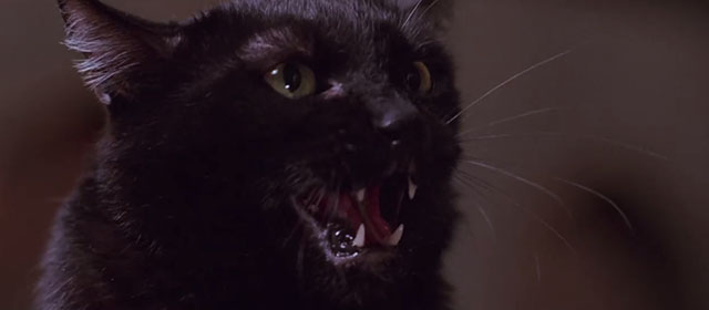Team America: World Police - black cat showing teeth